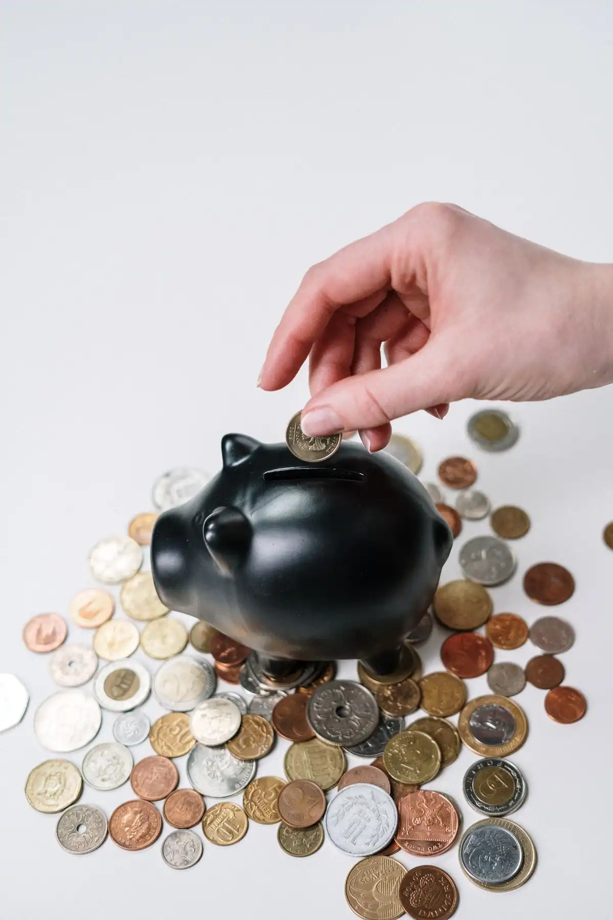 Person paying monthly electricity bills