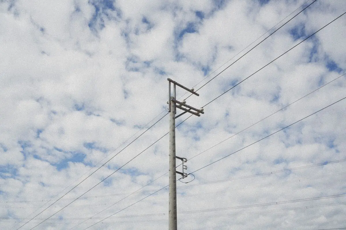 Electricity transmission lines and poles
